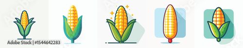 vector of corn
