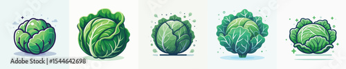 vector of cabbage