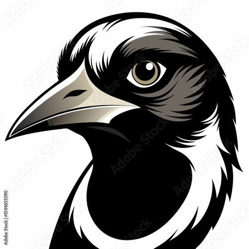Majestic australian magpie head profile illustration