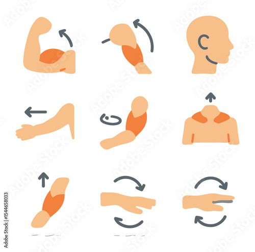 Muscle Movement Icons. Flat icon set of muscle movement actions: flexion, extension, rotation, abduction,
