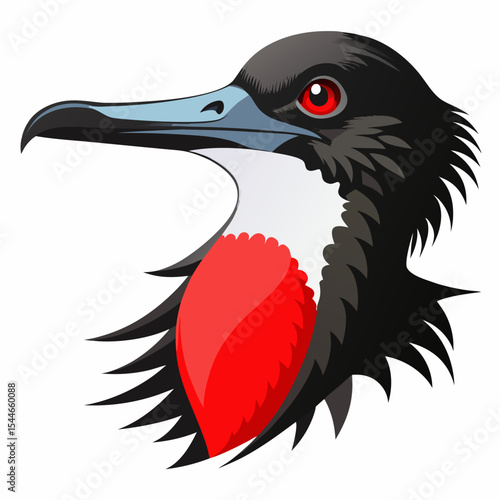 Magnificent frigatebird head profile illustration