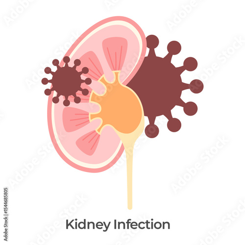 Kidney virus infection viral virology kidneys pathogen anatomy drawing illustration