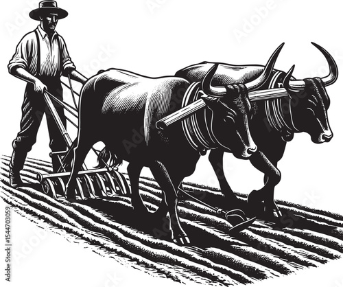 A Woodcut Depiction of Traditional Farming: Oxen Plowing the Lan