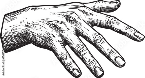Detailed Black and White Hand Illustration with Artistic Shading