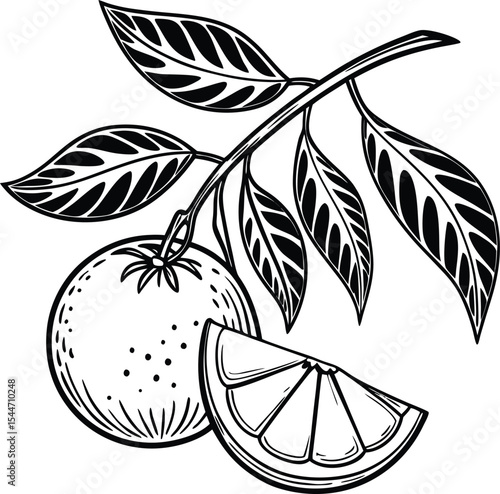 Fresh, healthy, and sweet apple and orange fruit vector illustration with a vibrant leaf and floral design pattern