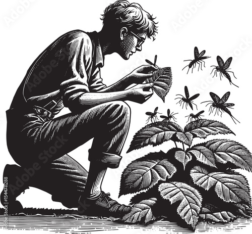 Intricate woodcut depiction of a botanist examining insects on f