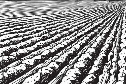 Monochrome illustration of a ploughed agricultural field ready f