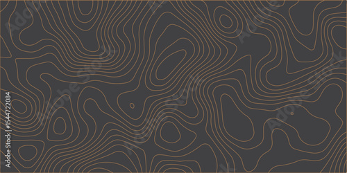 A minimalist, abstract background featuring organic, undulating contour lines in a warm, muted brown against a dark charcoal grey. The lines are thin and flowing, creating a subt