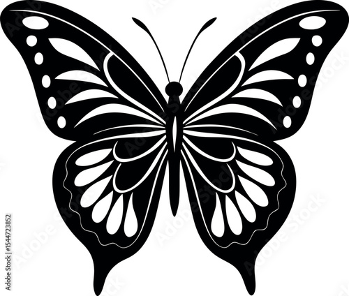 butterfly vector illustration