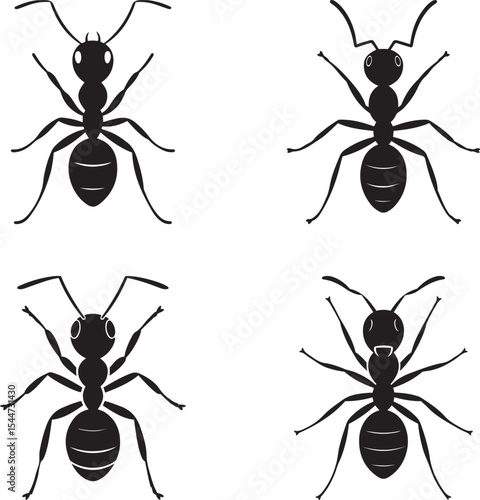 Four Black Ant Silhouettes Different Poses ants insect