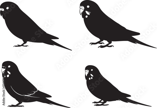 Four Black Budgie Silhouettes Bird Poses budgerigar