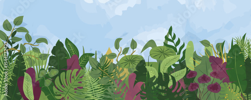 Tropical forest background. Nature green leaves, exotic plants, botanical border, horizontal floral banner, card design. 