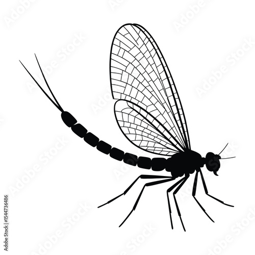 Black Silhouette Mayfly Insect Detailed Wings Body Legs