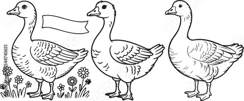 three geese silhouette illustration isolated on transparent background