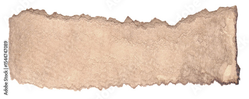 Wallpaper Mural 樹皮の欠片みたいな茶色い切れ端 Torontodigital.ca