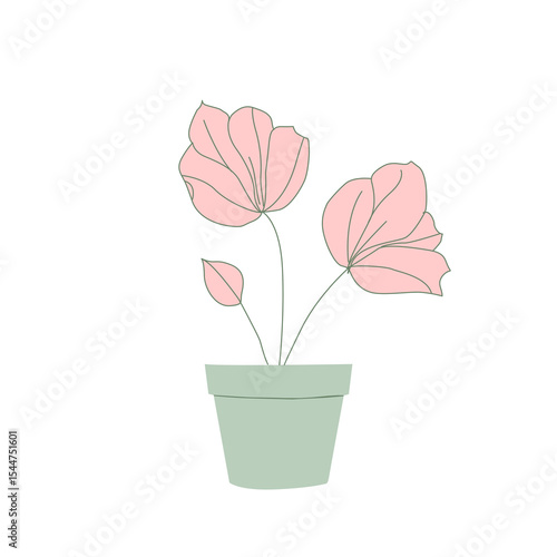pink flower in white background wallpaper illustration