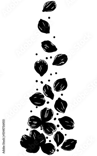 Hand-drawn black and white illustration of scattered falling flower petals with sketchy textures and ink shading, arranged in a cascading vertical layout.
