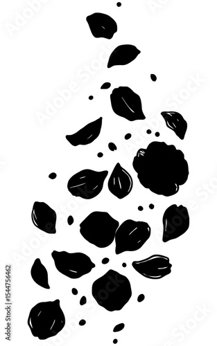 Hand-drawn black and white illustration of scattered falling flower petals with sketchy textures and ink shading, arranged in a cascading vertical layout.