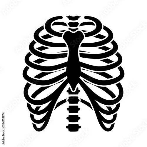 Stylized anatomical illustration of a human ribcage and sternum.