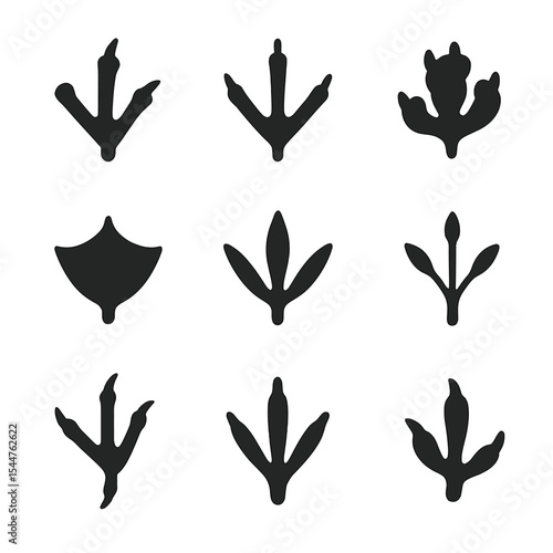 Bird Footprint Icons. Solid, filled icons set of bird footprints: eagle claw, hawk print, owl track, sparrow