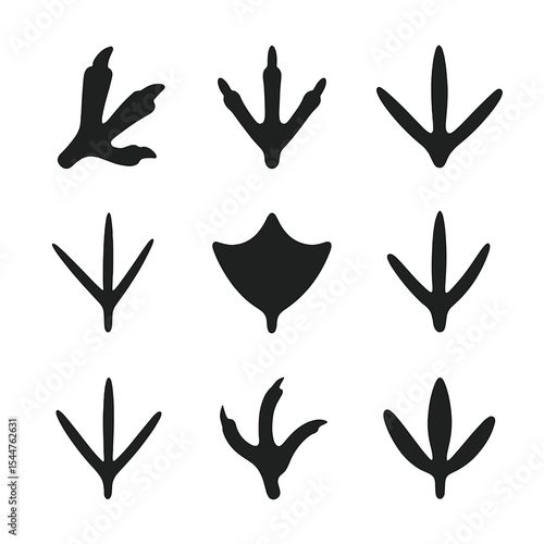 Bird Footprint Icons. Solid, filled icons set of bird footprints: eagle claw, hawk print, owl track, sparrow