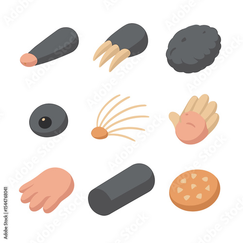 Mole Anatomy Icons. Isometric Flat icon set of mole anatomy parts: elongated snout, sharp claw, dense fur, small eye, whisker