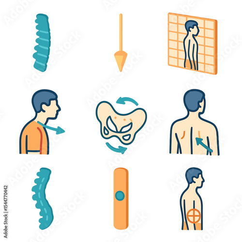 Posture Assessment Icons. Isometric Flat icon set of posture and alignment assessment: spine silhouette, plumb line, posture grid