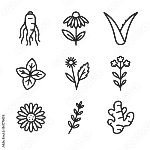 Medicinal Plant Icons. Outline icon set of medicinal plant icons: ginseng root, echinacea flower, aloe vera leaf, peppermint leaf,