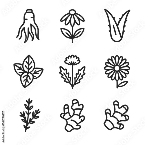 Medicinal Plant Icons. Outline icon set of medicinal plant icons: ginseng root, echinacea flower, aloe vera leaf, peppermint leaf,