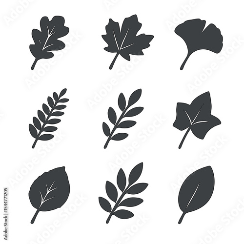 Monochrome Leaf Silhouettes. Isometric Flat icon set of monochrome leaf silhouettes: oak silhouette, maple silhouette, ginkgo
