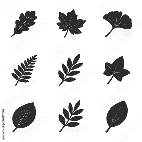 Monochrome Leaf Silhouettes. Isometric Flat icon set of monochrome leaf silhouettes: oak silhouette, maple silhouette, ginkgo