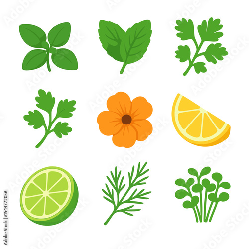 Salad Garnishes Icons. Isometric Flat icon set of salad bowl garnishes: fresh basil sprig, mint leaf, parsley bunch, cilantro