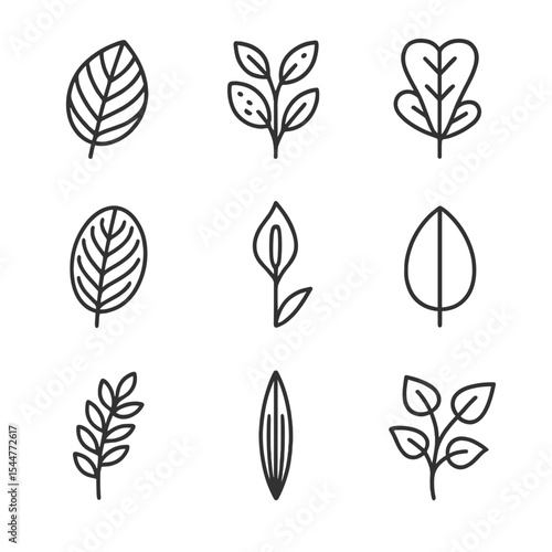 Ornamental Foliage Icons. Outline icon set of ornamental foliage greenhouse: calathea leaf, croton branch, fiddle-leaf fig, prayer