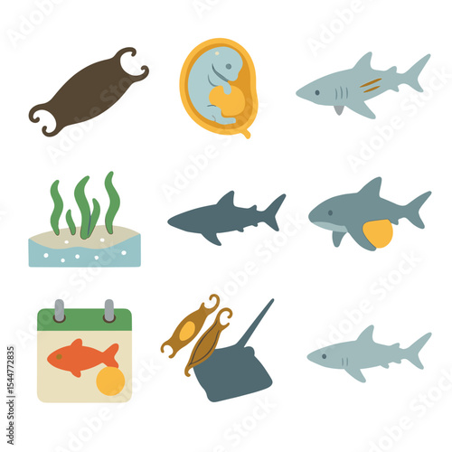 Shark and Ray Reproduction. Isometric Flat icon set of shark and ray eggs and reproduction: egg case (mermaid’s purse), embryo