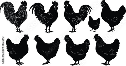 PrintA detailed collection of chicken and rooster silhouettes, this vector set includes various hen and cockerel poses, isolated on white for agricultural designs