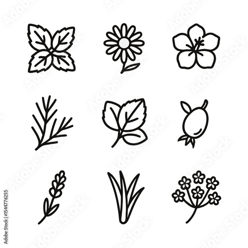 Herbal Tea Icons. Outline icon set of herbal tea blends: mint sprig, chamomile blossom, hibiscus petal, rooibos branch, lemon balm