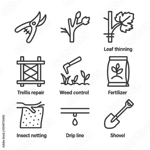 Vineyard Task Icons. Outline icon set of vineyard maintenance tasks: pruning shears, bud break, leaf thinning, trellis repair,