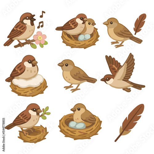 Sparrow Seasonal Icons. Isometric Flat icon set of sparrow seasonal cycles: spring singing, summer breeding, autumn molt, winter
