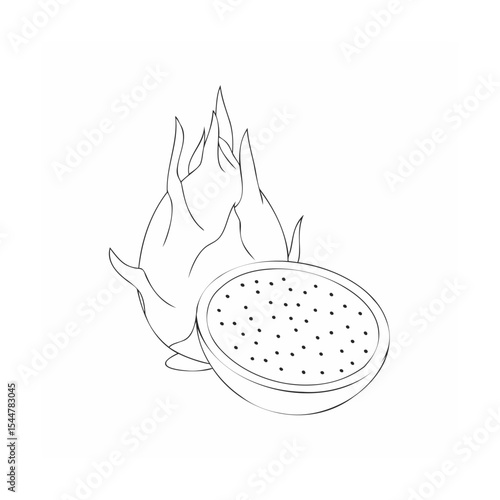 vector illustration of a dragon fruit