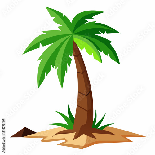 palm tree vector illustration