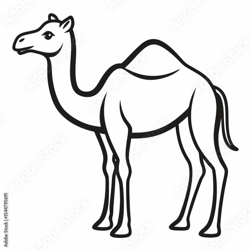 camel in the desert