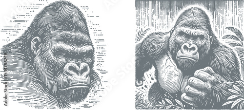 engraving style illustration set featuring a gorilla charging through the jungle, brush stroke grain texture, wild nature woodcut print design for postal stamp card projects