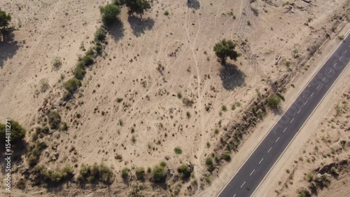 the road in the desert of thar ( Tilt up shot)