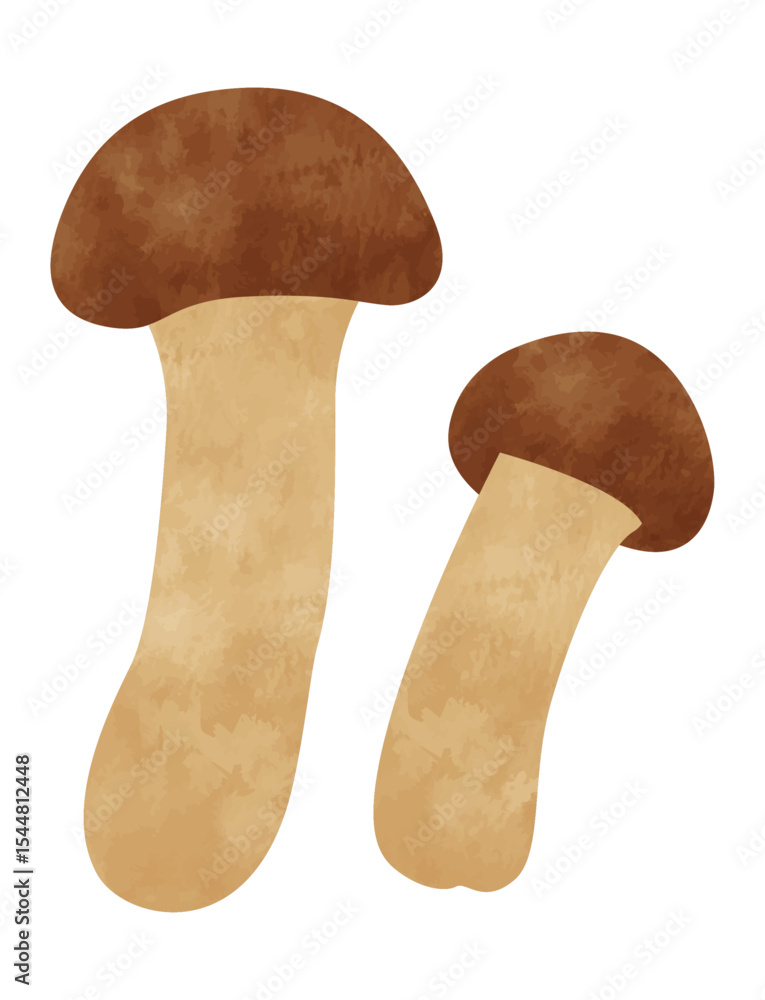 Fototapeta premium 手書き風松茸（マツタケ/野菜）