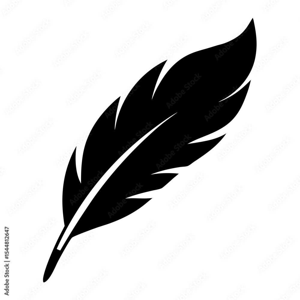 Obraz premium Elegant black feather with intricate details, floating against a pristine white backdrop
