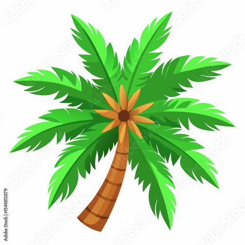 palm tree vector illustration