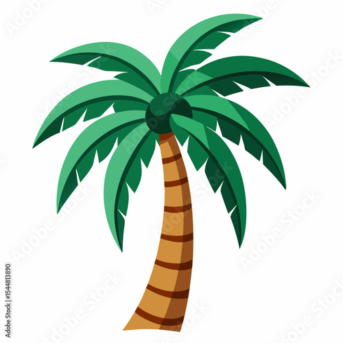 palm tree vector illustration