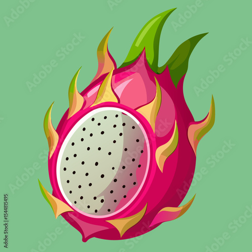 dragon fruit vector illustration
