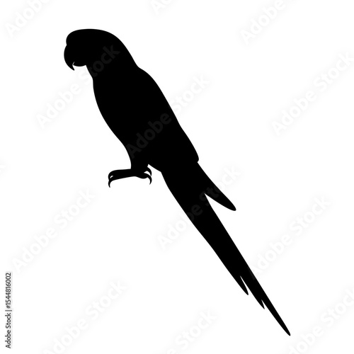Striking Black Silhouette of a Parrot with a Distinctive Tail