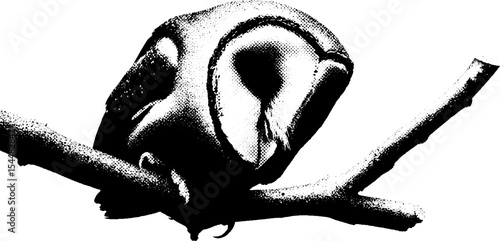 Owl skull on gothic branch in high contrast black and white art design